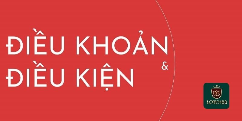 Điều kiện điều khoản của người sử dụng